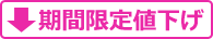 期間限定値下げ